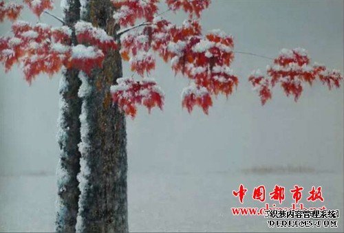 微信图片_20190128181322