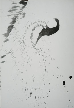 66